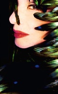 Cover: Feathers - Edition Patrick Frey