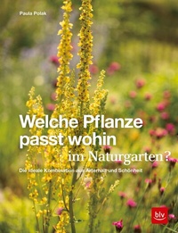 Abbildung von: Welche Pflanze passt wohin im Naturgarten? - BLV