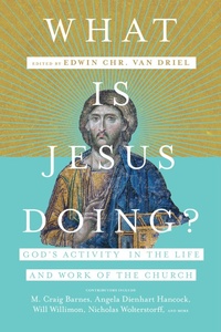 Enlarge image Cover: What Is Jesus Doing? - IVP Academic
