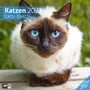 Bild: Katzen Kalender 2021 - 30x30 - Ackermann Kunstverlag
