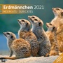 Bild: Erdm&auml;nnchen Kalender 2021 - 30x30 - Ackermann Kunstverlag