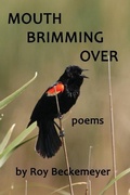 Cover: Mouth Brimming Over - Blue Cedar Press