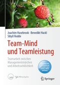 Cover: Team-Mind und Teamleistung - Springer