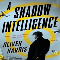 Enlarge image Cover: A Shadow Intelligence Lib/E - Houghton Mifflin