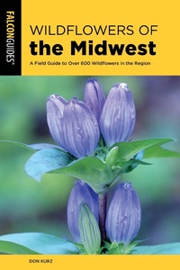 Abbildung von: Wildflowers of the Midwest - Falcon Guides
