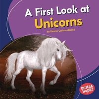 Enlarge image Cover: A First Look at Unicorns - Lerner Publishing Group