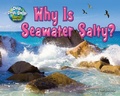 Cover: Why Is Seawater Salty? - Bearport Books