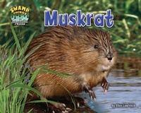 Enlarge image Cover: Muskrat - Bearport Books