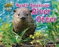 Cover: North American River Otter - Bearport Books