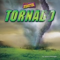 Cover: Tornado - Bearport Books