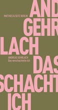Cover: Das verschachtelte Ich - Matthes & Seitz Berlin