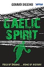 Cover: Gaelic Spirit - O'Brien Press Ltd