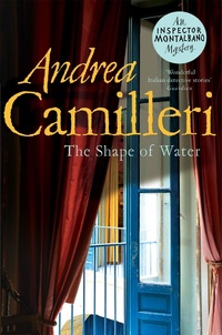 Abbildung von: The Shape of Water - Picador