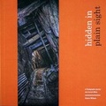Cover: Hidden in Plain Sight - Liondog Publications