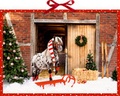 Cover: Wandkalender - Dotti feiert Weihnachten - Coppenrath