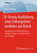 Abbildung von: ß-Strang-Ausbildung eines Faltungsintermediates von BamA - Springer Spektrum