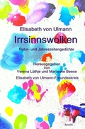 Cover: Irrsinnswolken - epubli
