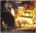 Cover: Eisenzeit in SaarLorLux - Saarland Landesarchiv