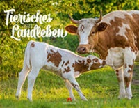 Abbildung von: Tierisches Landleben Kalender 2021 - Ackermann Kunstverlag