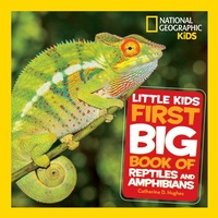 Abbildung von: Little Kids First Big Book of Reptiles and Amphibians - National Geographic Kids