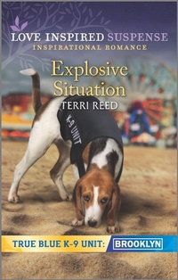 Enlarge image Cover: Explosive Situation - Love Inspired Suspense