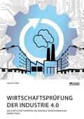 Cover: Wirtschaftspruefung der Industrie 4.0 - Science Factory