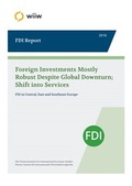 Cover: wiiw FDI Report 2019 - Wiener Institut f. Internationale Wirtschaftsvergleiche