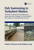 Cover: Fish Swimming in Turbulent Waters - CRC Press
