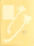 Cover: Modern Nature - Drawing Room
