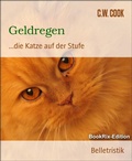 Cover: Geldregen - BookRix