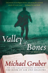 Enlarge image Cover: Valley of Bones - HarperCollins