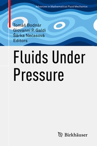 Abbildung von: Fluids Under Pressure - Birkhäuser