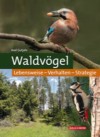 Abbildung von: Waldvögel - Quelle & Meyer