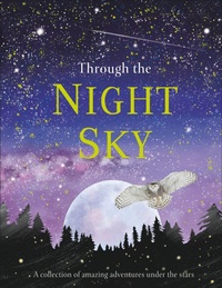 Enlarge image Cover: Through the Night Sky - DK Children