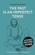 Cover: The Past is an Imperfect Tense - Practical Action Publishing