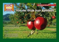 Abbildung von: Von der Blüte zum Apfelsaft / Kamishibai Bildkarten - Hase und Igel Verlag