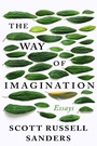 Cover: The Way of Imagination - Counterpoint