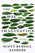 Cover: The Way of Imagination - Counterpoint