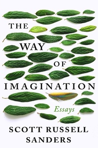 Enlarge image Cover: The Way of Imagination - Counterpoint