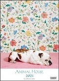 Cover: Animal House Kalender 2021 - DUMONT Tier-Kalender - Foto-Kunst - Poster-Format 49,5 x 68,5 cm - DuMont Kalenderverlag