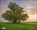 Cover: B&auml;ume 2021 - Wandkalender 58,4 x 48,5 cm - Spiralbindung - DuMont Kalenderverlag