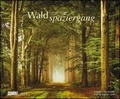 Cover: Waldspaziergang 2021 - Fotokunst-Kalender - Querformat 58,4 x 48,5 cm - Spiralbindung - DuMont Kalenderverlag