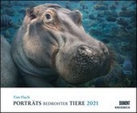 Abbildung von: Tim Flach: Porträts bedrohter Tiere 2021 - Tier-Fotografie - Wandkalender 58,4 x 48,5 cm - Spiralbindung - DuMont Kalenderverlag