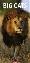 Cover: Big Cats XL Kalender 2021 - Weingarten