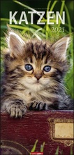 Cover: Katzen XL Kalender 2021 - Weingarten