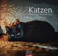 Cover: Katzen - Diven auf Samtpfoten Kalender 2021 - Weingarten