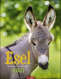 Abbildung von: Esel Kalender 2021 - Weingarten