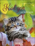 Cover: Katzen auf dem Lande Kalender 2021 - Weingarten