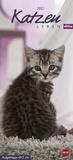 Bild: Whiskas Katzenleben Kalender 2021 - Heye