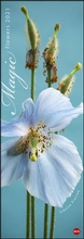 Cover: Magic Flowers Vertical Kalender 2021 - Heye